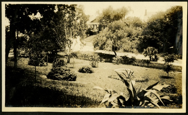 St Petersburg - Garden