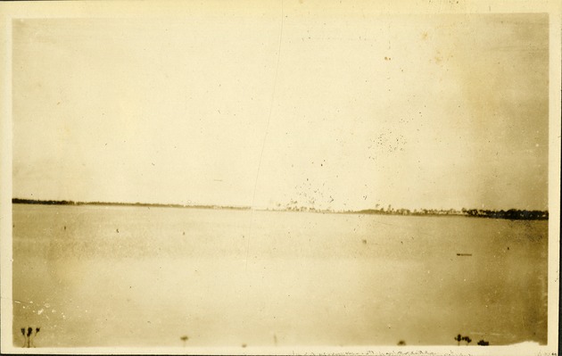View near Sarasota