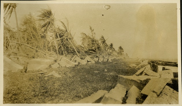 Front of firestone estate - Blown over trees and building debris