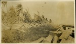 Front of firestone estate - Blown over trees and building debris