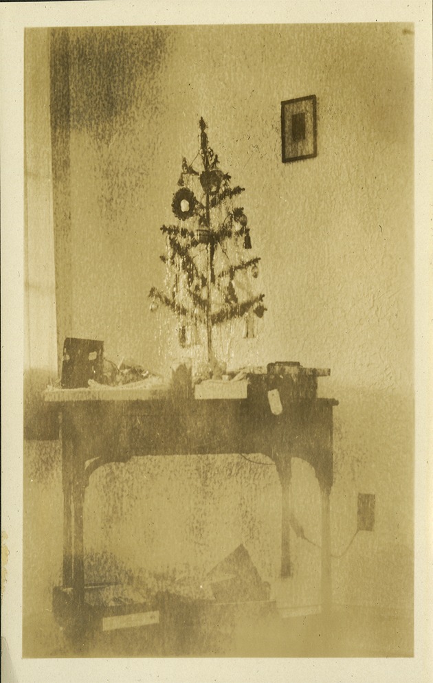 Small Christmas Tree on table inside home