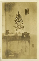 Small Christmas Tree on table inside home