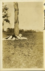 [1926] Dog with puppies laying in grass