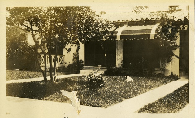 Dog in grass outside home