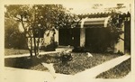 Dog in grass outside home