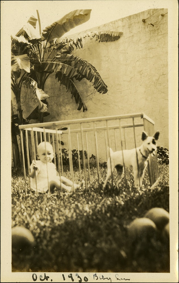 Oct. 30 - Baby Lou - Baby and dog inside playpen in grass