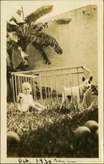 Oct. 30 - Baby Lou - Baby and dog inside playpen in grass