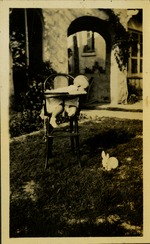 Baby in high chair looking at stuffed rabbit in grass