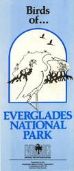 [1984] Birds of... Everglades National Park