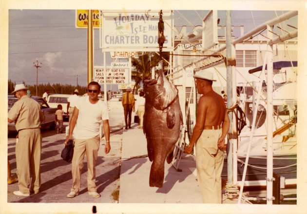 Large grouper on the dock - 