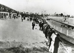 [1920/1930] Biscayne Dog Track