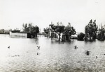 Miami Shores Maintenance Yard after Hurricane of 1947