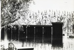 Miami Shores after Hurricane of 1947