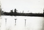 Pistol Range after Hurricane of 1947