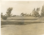[1950/1960] Miami Shores Golf Course 12th Hole