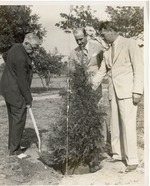 [1935] Beautification Committee Tree Planting