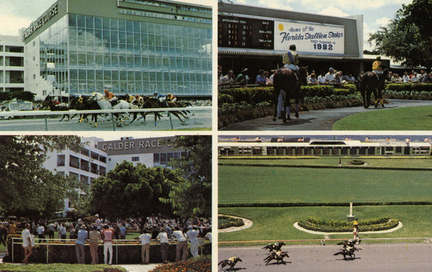 Calder Race Track - Postcard, Recto