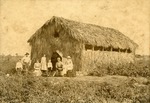 Murray Family in front of tomato packing shed, Boynton Beach, Florida, 1899