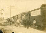 Loading tomatoes onto train, 1912