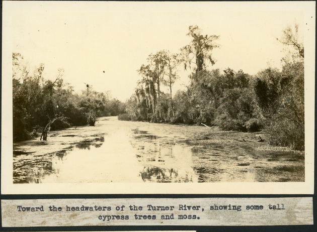 Toward the Headwaters of the Turner River