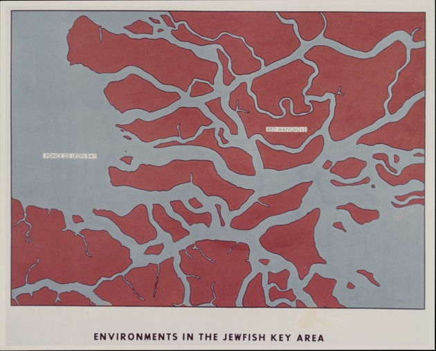 Map of Environments- Jewfish Key Area - recto