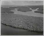 [1960/1970] Aerial View of the Site II