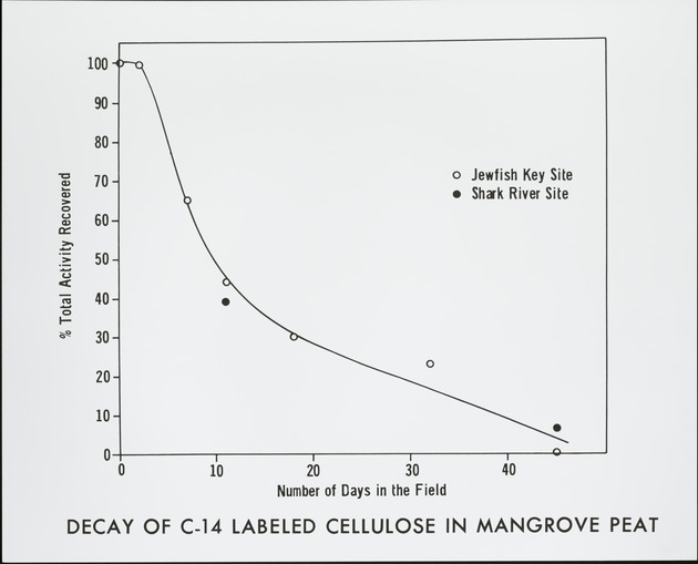 Decay of C14 Labeled Cellulose - recto