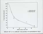 Decay of C14 Labeled Cellulose