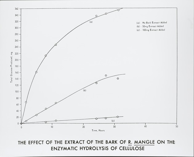Effect of Bark Extract on Decay - recto