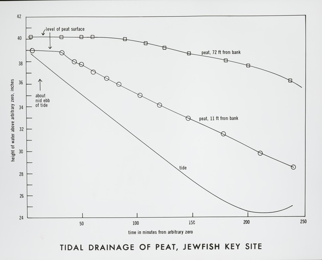 Tidal Drainage of Peat - Jewfish Key - recto