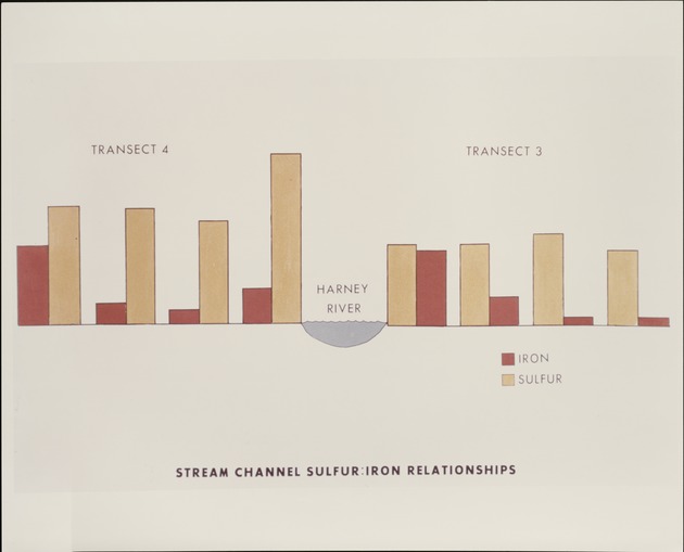 Stream Channel: Sulfur-Iron Relationships - 