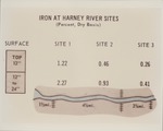 Iron Content - Harney River