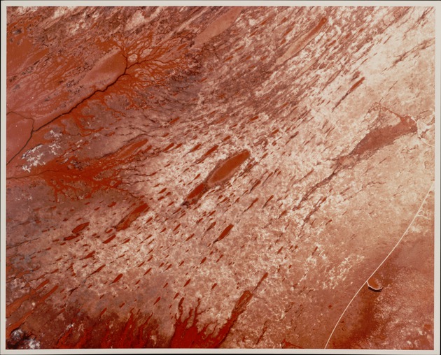 U-2 Photo of Shark River Headwaters - recto