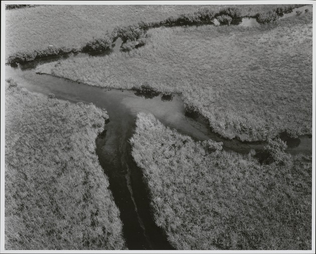 Marsh-Stream Channel Contact with Floating Aquatics - recto