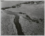 [1960/1970] Marsh-Stream Channel Contact with Floating Aquatics