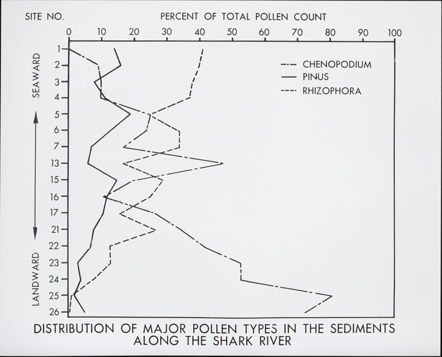 Shark River Sampling Site and Rhizophora vs Chenopod Pollen (In Graphical Form) - recto