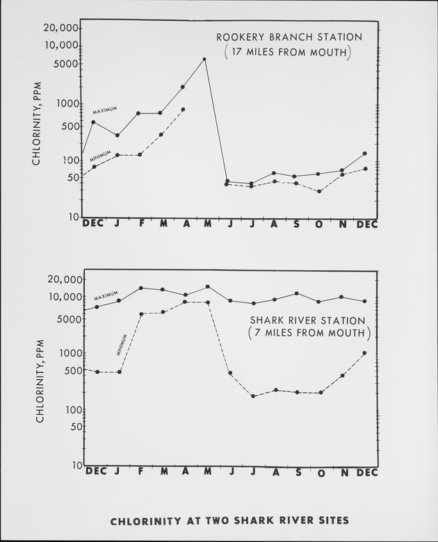 Chlorinity at Two Shark River Sites - recto