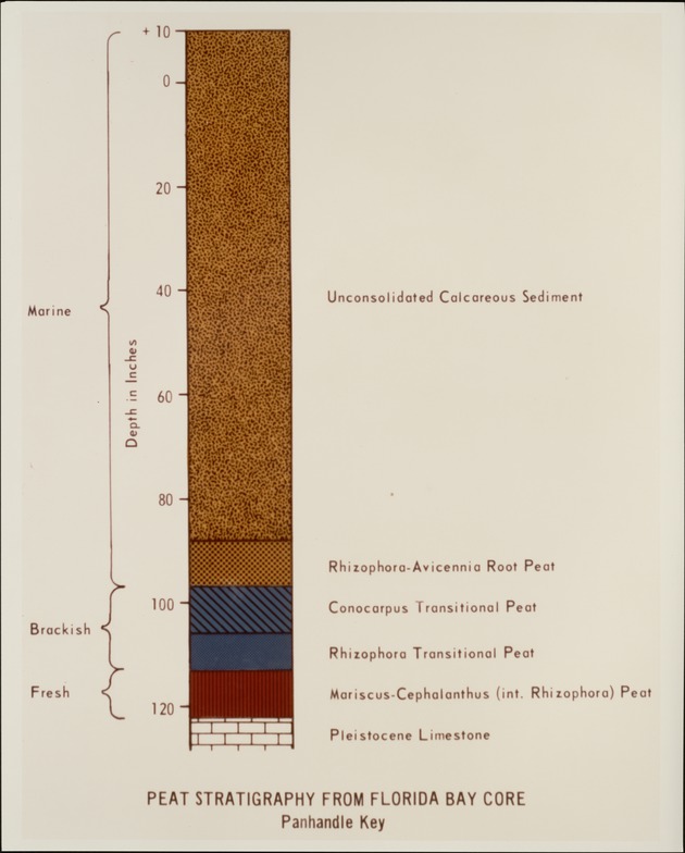 Stratigraphy - Panhandle Key - recto