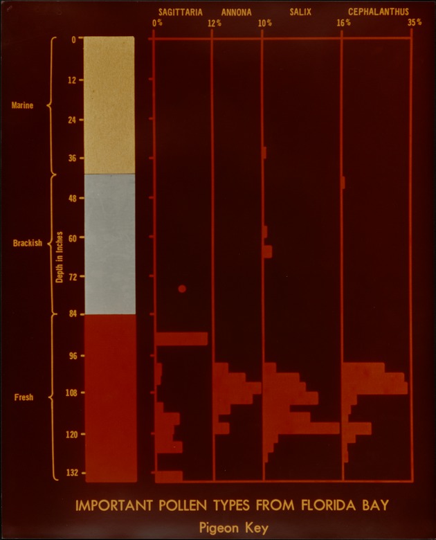 Pollen Types - Pigeon Key III - recto