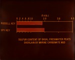 [1960/1970] Sulfur Content: Basal Fresh Water Peats I