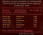 Organic Sulfur Content: Fresh Water Peats Overlain by Marine Peats