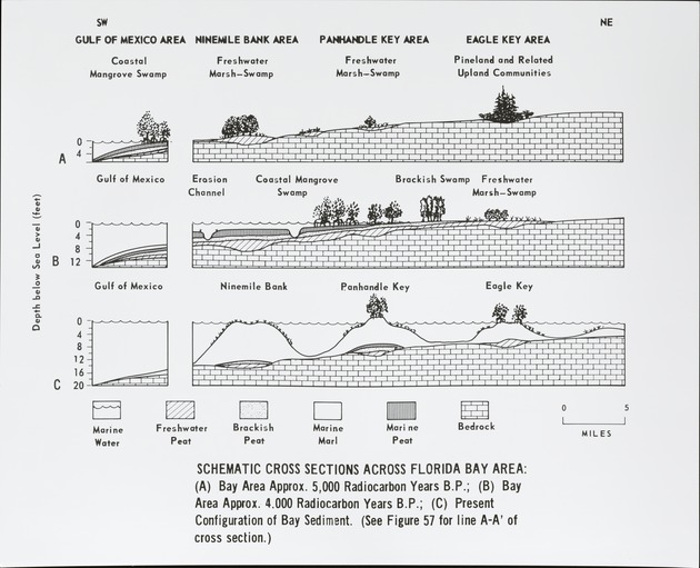 Florida Bay Historical Sequence - 