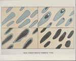 [1960-1970] Four Characteristic Hammock Types