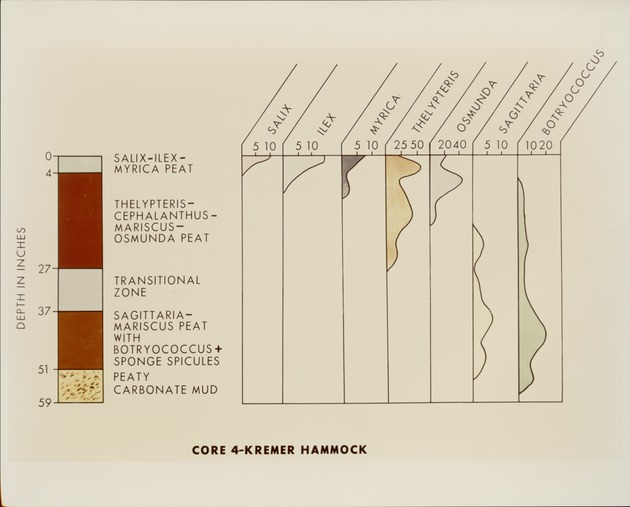 Stratigraphy - Kremer Hammock - recto