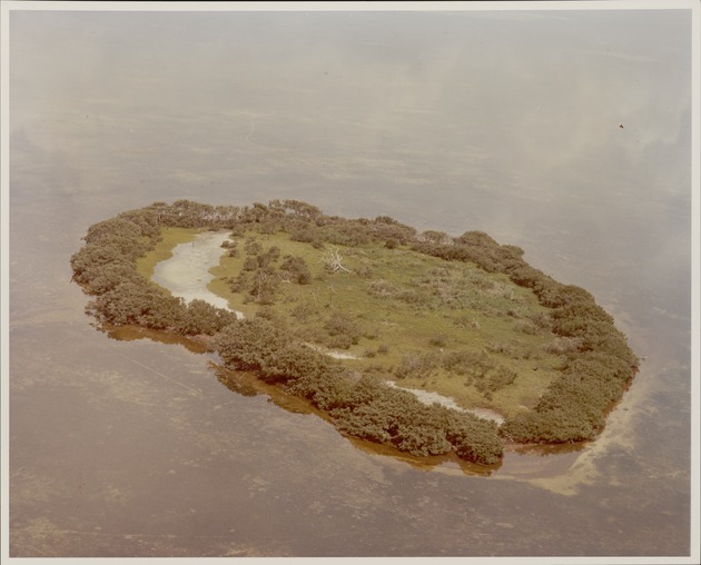 Small island in the Everglades - recto