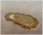 Small island in the Everglades