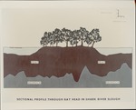 [1960/1970] Sectional View - Bay Head - Slough Area