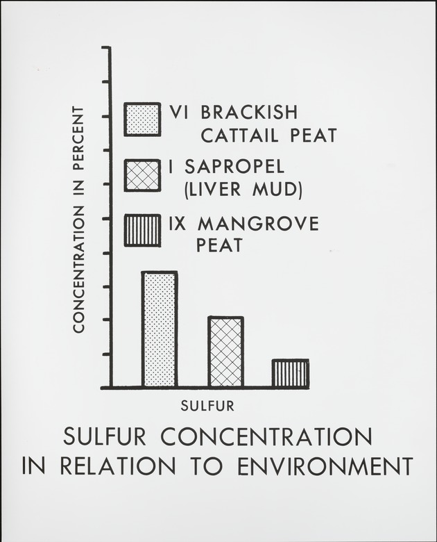 Sulfur Content in Brackish Saw Grass Peat - recto