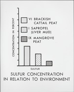 Sulfur Content in Brackish Saw Grass Peat