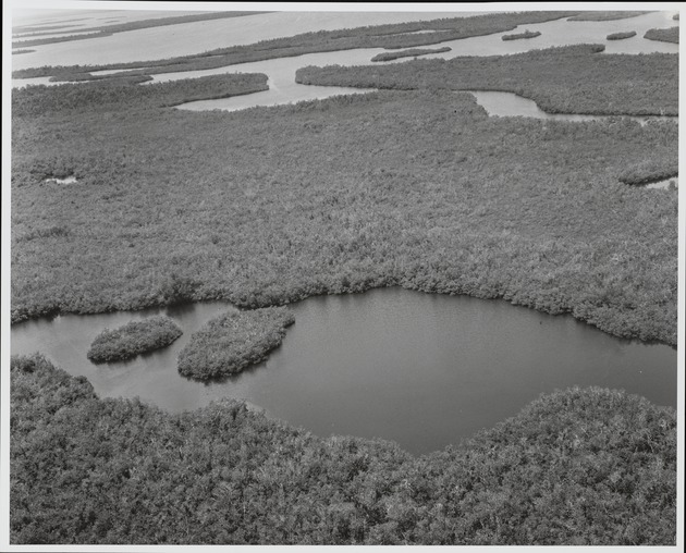 Aerial View Twin Island Pond - recto